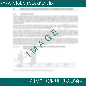 グローバルリサーチ調査資料のイメージ